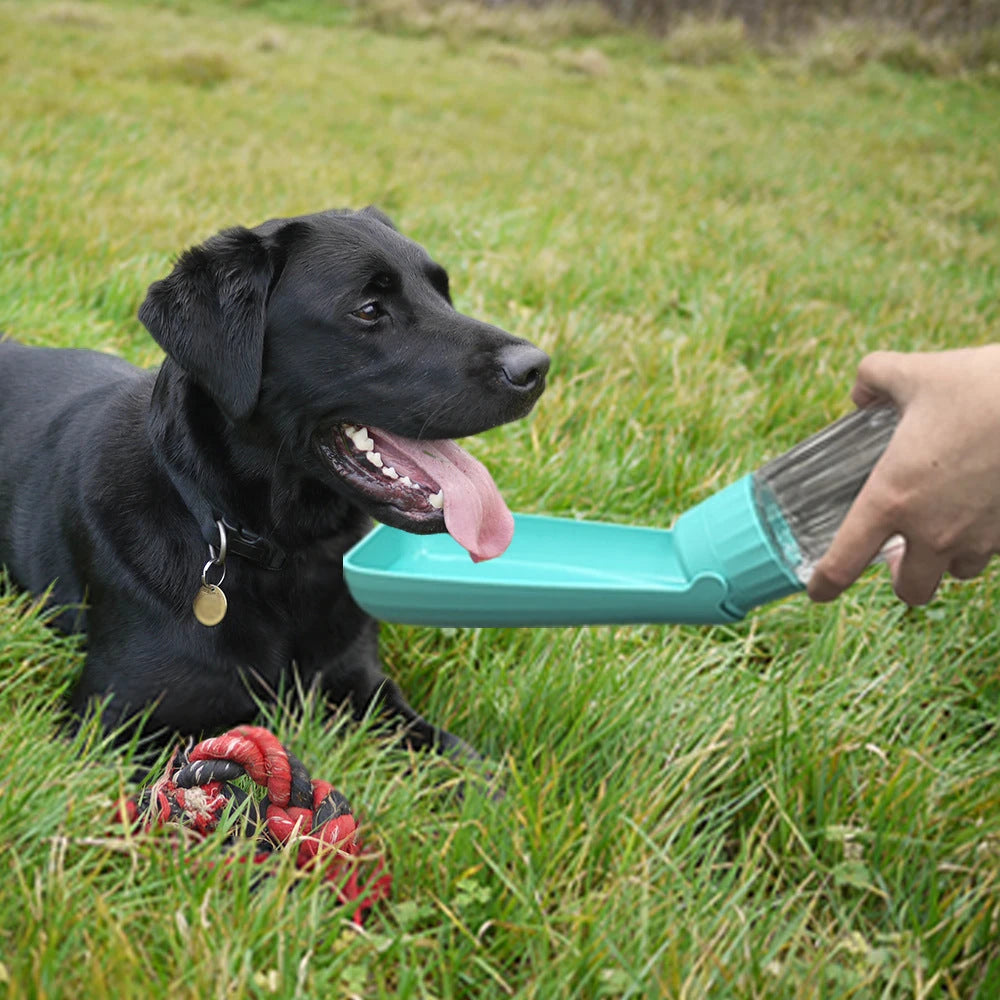 Dog Walk Water Cup