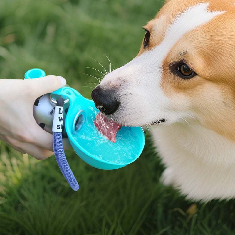 Pet Water Dispenser